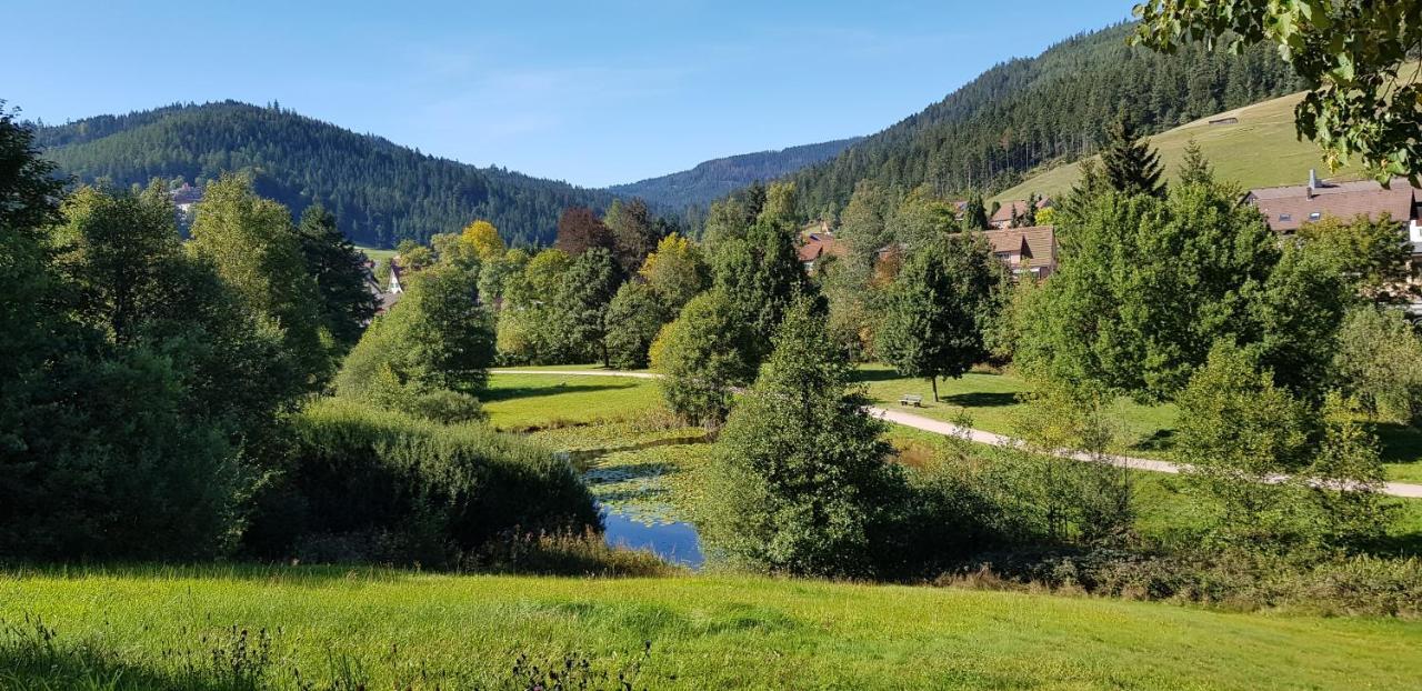 Ferienwohnung Tannenballett Im Schwarzwald Baiersbronn Exterior foto