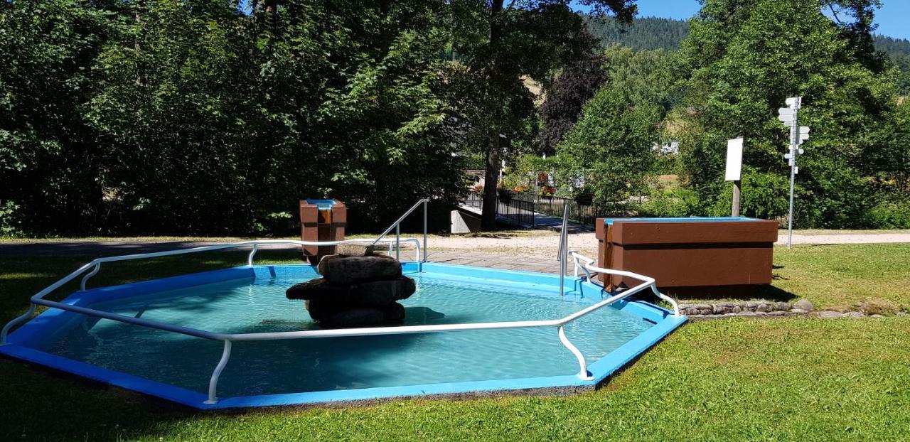 Ferienwohnung Tannenballett Im Schwarzwald Baiersbronn Exterior foto